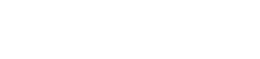Ace Bihan